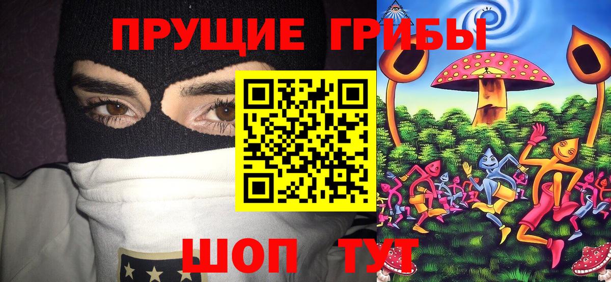 Звенигород  Псилоцибиновые грибы мухоморы  Вход с VPN  Псилоцибиновые грибы MAGIC MUSHROOMS 