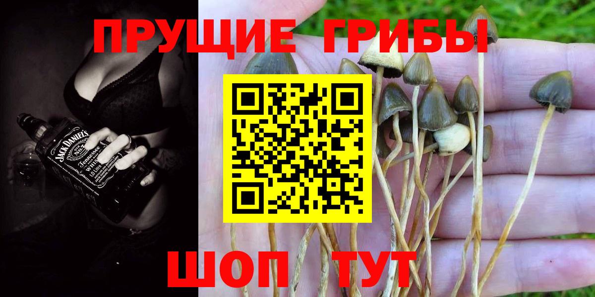 Галлюциногенные грибы прущие грибы Звенигород